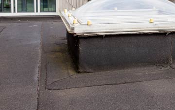 disadvantages of East The Water flat roofs